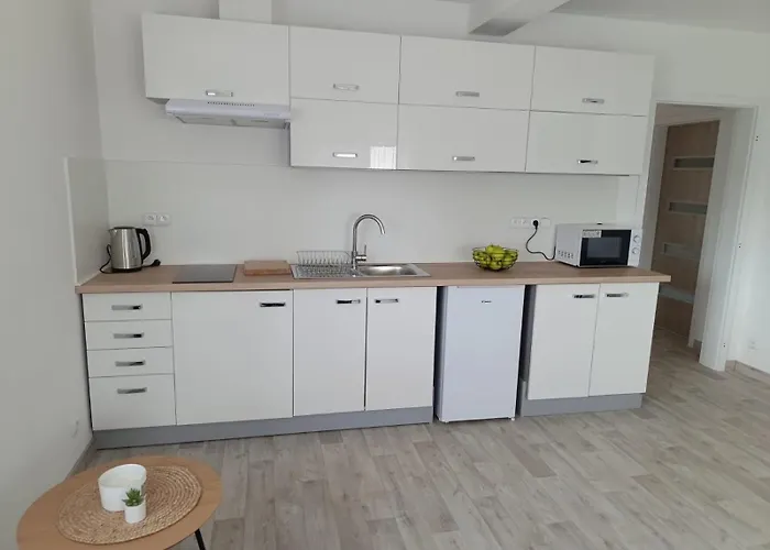 Backa Apartament Přibyslav
